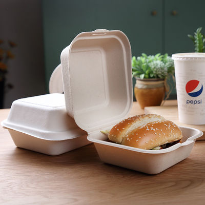 Toksik Olmayan 21g Biyobozunur Bagas Hamuru Kapaklı Tabak 6 İnç Bagas Burger Kutusu
