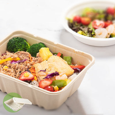 450ml 550ml Doğal Eko Biyobozunur Bagas Tabak Salad Hazır Yemek Kutuları
