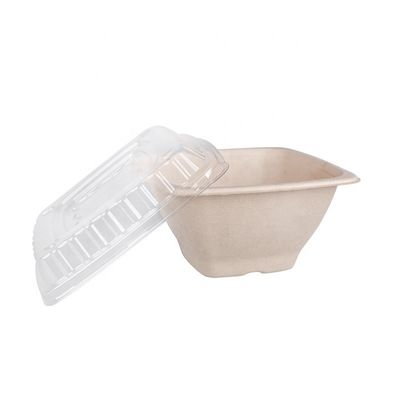 16 24 32 oz Biyodegradable Sugarcane Bagasse Bowl Fruit Salat Konteynerleri Kapaklı Kutu