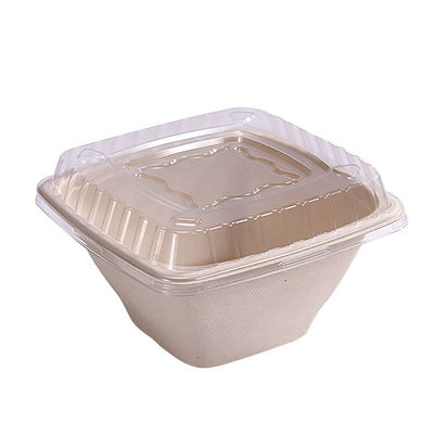 16 24 32 oz Biyodegradable Sugarcane Bagasse Bowl Fruit Salat Konteynerleri Kapaklı Kutu