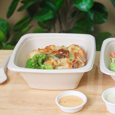 16 24 32 oz Biyodegradable Sugarcane Bagasse Bowl Fruit Salat Konteynerleri Kapaklı Kutu