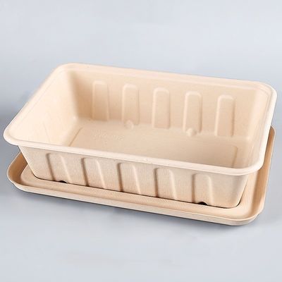 450ml 550ml Doğal Eko Biyobozunur Bagas Tabak Salad Hazır Yemek Kutuları