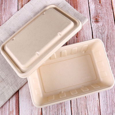 450ml 550ml Doğal Eko Biyobozunur Bagas Tabak Salad Hazır Yemek Kutuları