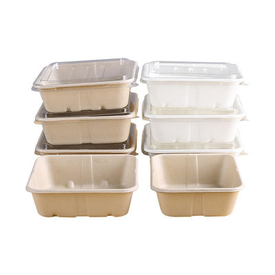 450ml 550ml Doğal Eko Biyobozunur Bagas Tabak Salad Hazır Yemek Kutuları