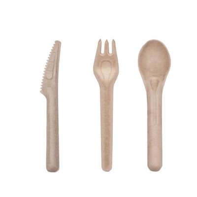 Biyolojik olarak ayrıştırılabilir bagaş Ekoloji dostu tek kullanımlık yemek takımları 141.7 mm Komposta edilebilir çatal ve kaşıklar