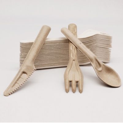 Biyolojik olarak ayrıştırılabilir bagaş Ekoloji dostu tek kullanımlık yemek takımları 141.7 mm Komposta edilebilir çatal ve kaşıklar