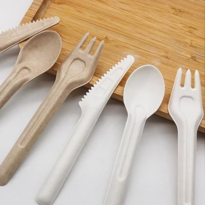 Biyolojik olarak ayrıştırılabilir bagaş Ekoloji dostu tek kullanımlık yemek takımları 141.7 mm Komposta edilebilir çatal ve kaşıklar
