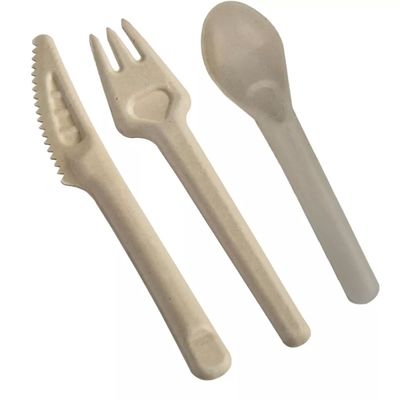 Biyolojik olarak ayrıştırılabilir bagaş Ekoloji dostu tek kullanımlık yemek takımları 141.7 mm Komposta edilebilir çatal ve kaşıklar