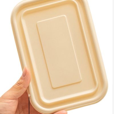 500 600ml Tek kullanımlık kompost edilebilir mısır nişastası yemek öğle yemeği kutusu fast food ambalaj kutusu