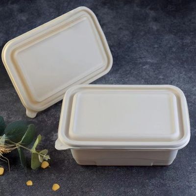 500 600ml Tek kullanımlık kompost edilebilir mısır nişastası yemek öğle yemeği kutusu fast food ambalaj kutusu