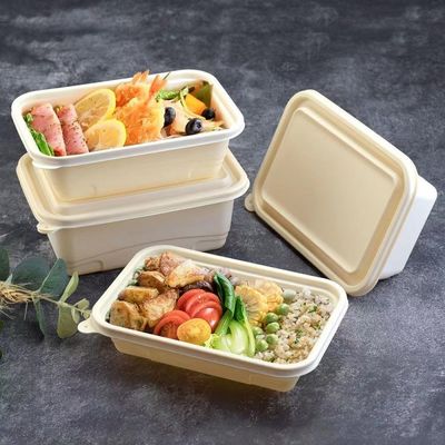 500 600ml Tek kullanımlık kompost edilebilir mısır nişastası yemek öğle yemeği kutusu fast food ambalaj kutusu